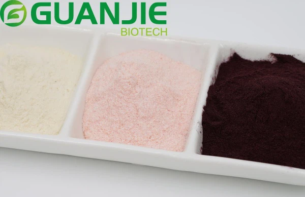 spray dried fruit powder spray dried fruit powder