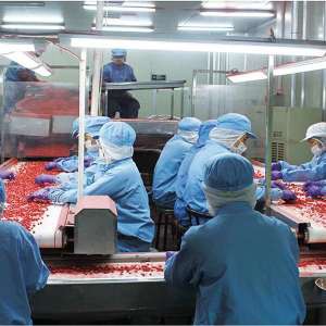 Raw Material Selection Raw Material Selection